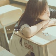 一码一肖100准免费资料大全一精准